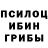 Псилоцибиновые грибы Cubensis Croude