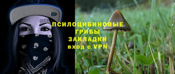 стаф Баксан