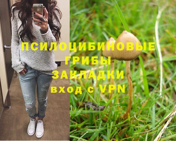 стаф Балабаново