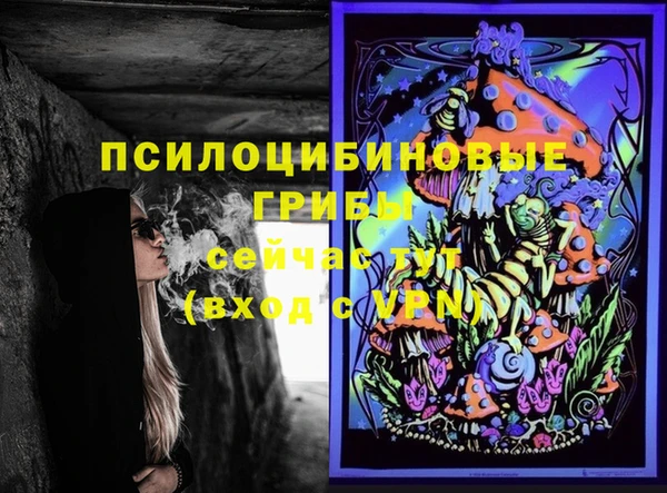 дживик Беломорск