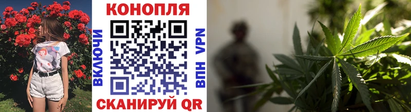 Бошки марихуана сатива  Верещагино 